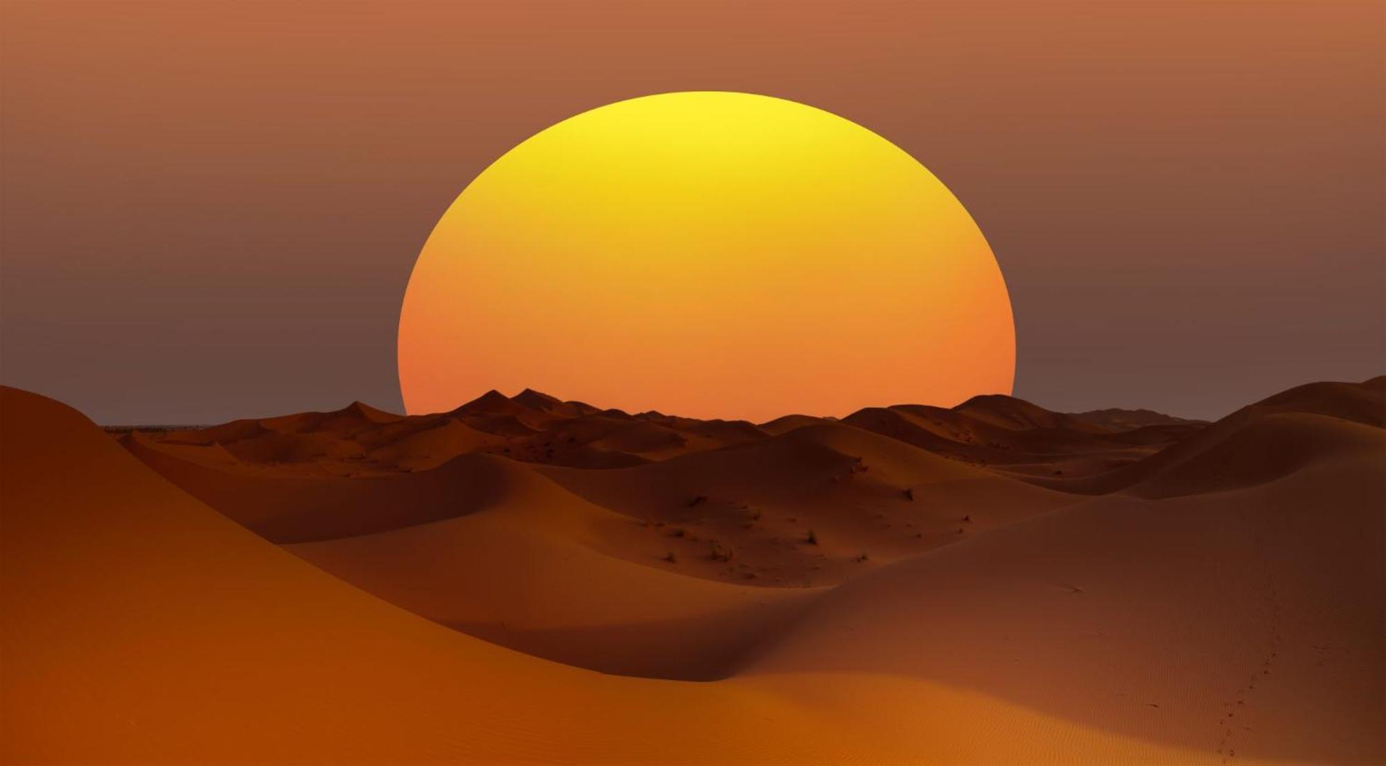 Desert Camel Trek Merzouga Ngoại thất bức ảnh