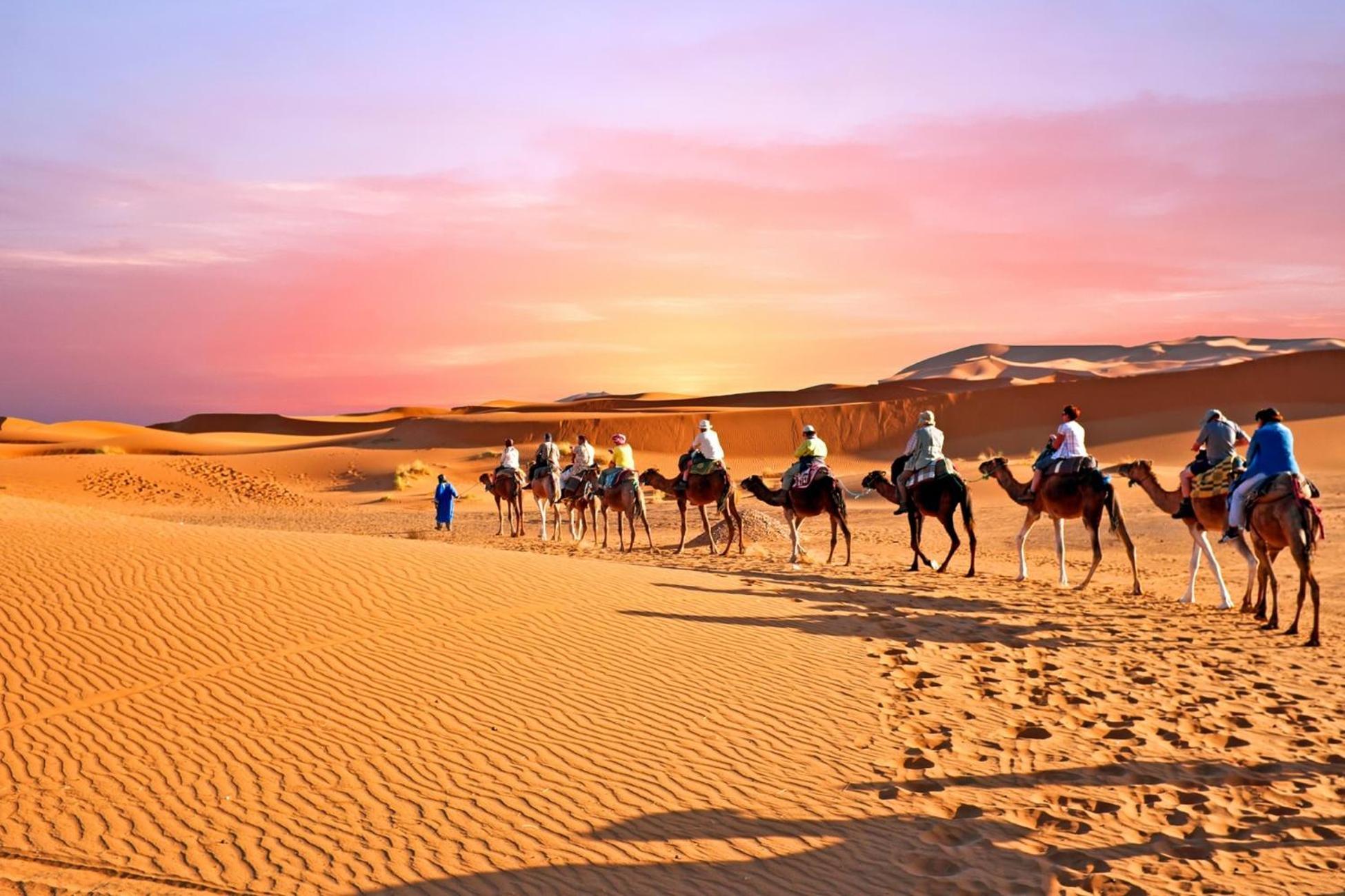 Desert Camel Trek Merzouga Ngoại thất bức ảnh